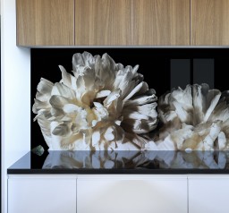 white peony