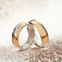 shutterstock_517467259 241x241