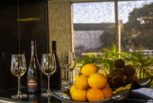 225GE Bronze Antique Mirror - Jupiter Effect