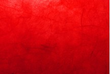DG1184