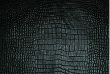 DG1213