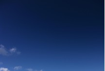 DG1352