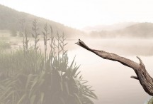 Kingfisher Lake