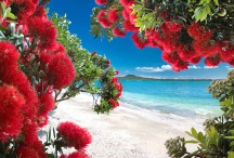 Lucy G - Glendowie Paradise