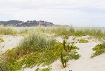 Omaha Dunes