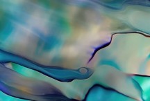 Paua Dream