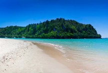 Whangamata Summer