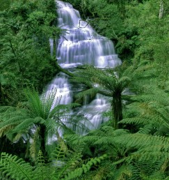 DG 1103 600 - Waterfall