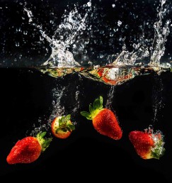 DG 1491 600 - Splash