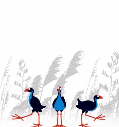 DG 1493 600 - Pukeko's