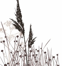 DG 212 600 - Toi toi Frappacino