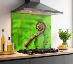 DG 207 - Koru 750H x 900W  Koru