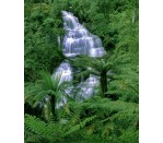 DG 1103 - Waterfall 750H x 600W  Waterfall