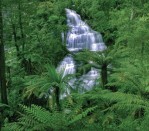 DG 1103 - Waterfall 750H x 900W  Waterfall