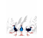 DG 1493 - Pukeko's 750H x 600W Pukeko's