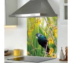 DG 1986 - Kowhai Tui 750H x 600W Kowhai Tui