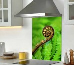 DG 207 - Koru 750H x 600W  Koru